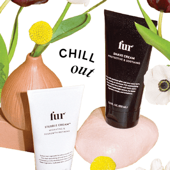 Beat the Heat: Our Favorite Cooling Products - Fur