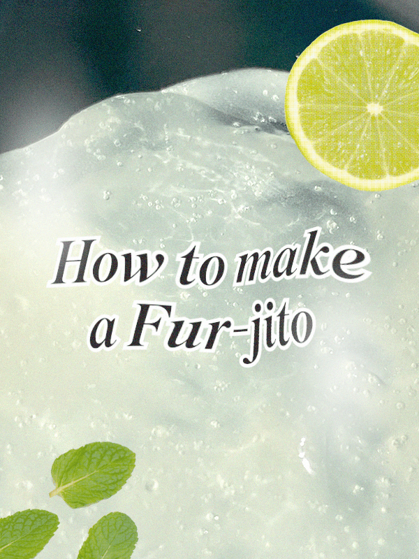 How to Make a Fur-jito - Fur