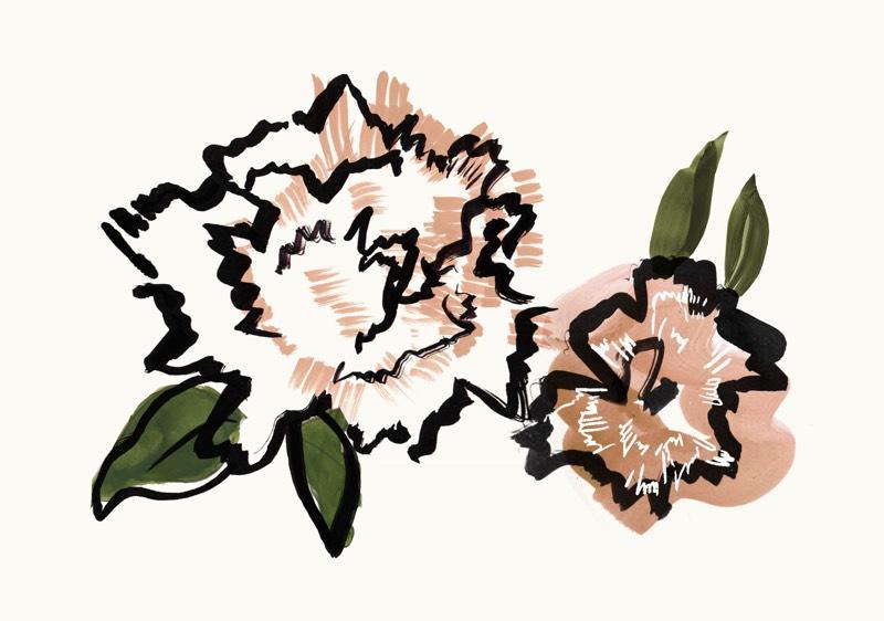 Illustration of two flowers.