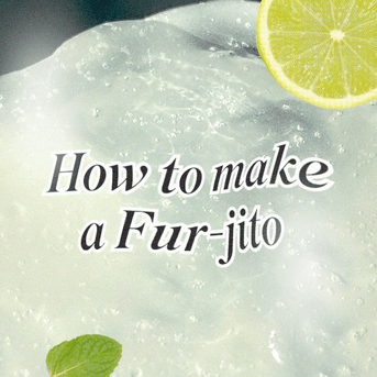 How to Make a Fur-jito - Fur