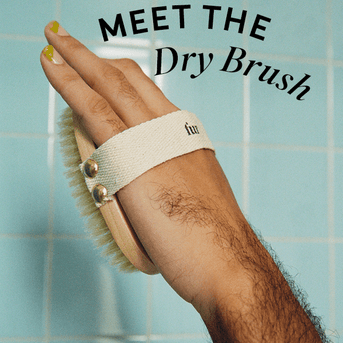 Meet the Dry Brush - Fur