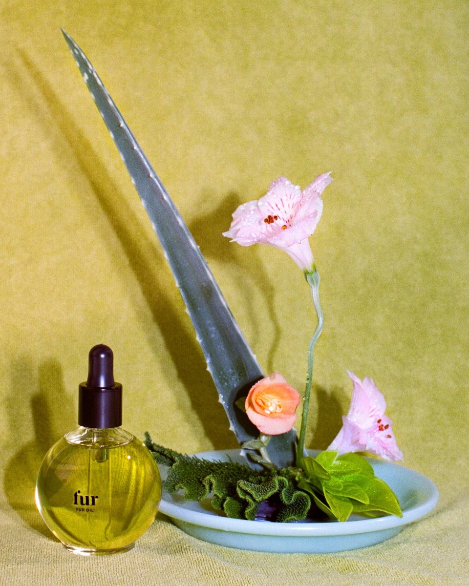Winter Skincare with Fur - Fur